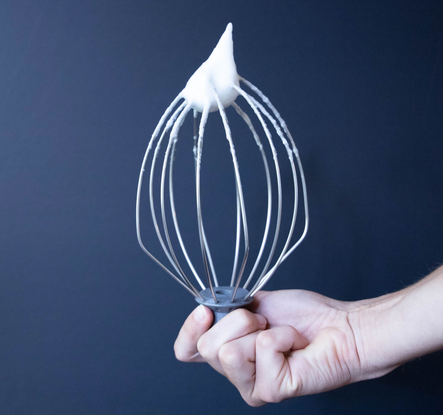 Inquisicook 1 Culinary Science